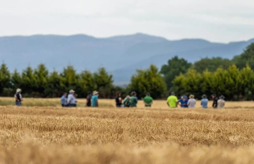 New On-farm Peer-to-Peer Learning & Innovation Seminar