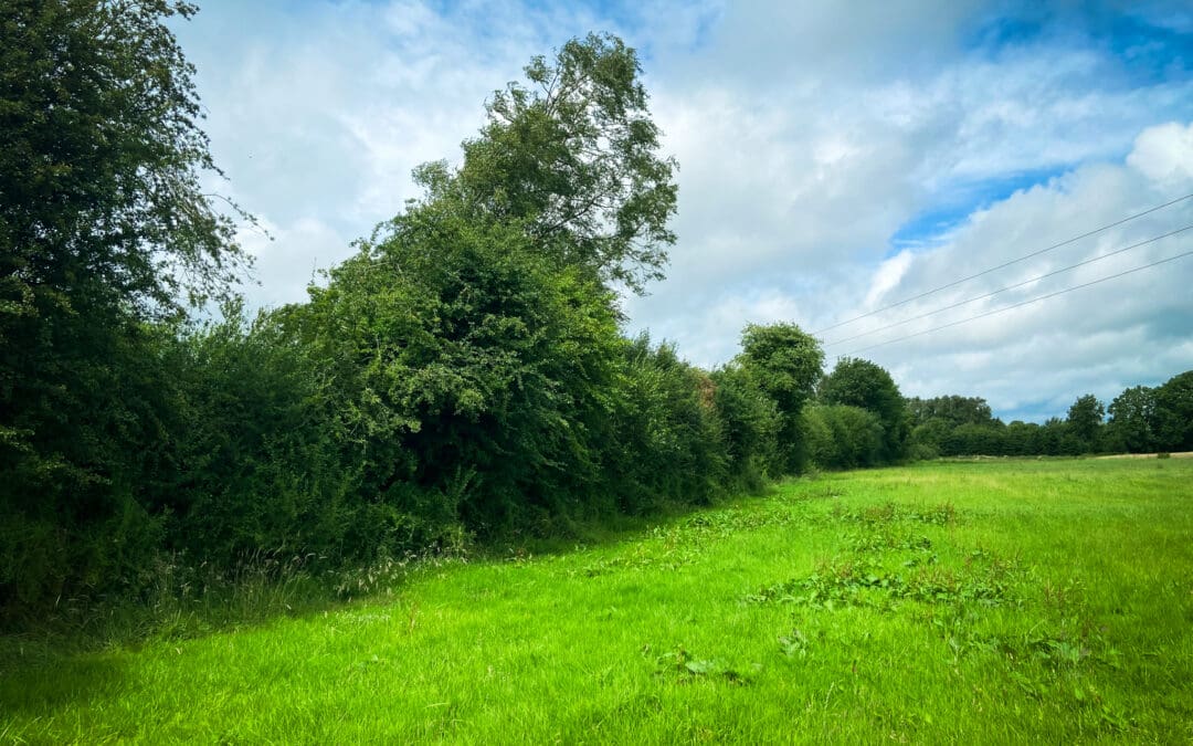 Payments for Knowledge Transfer (KT) Programme