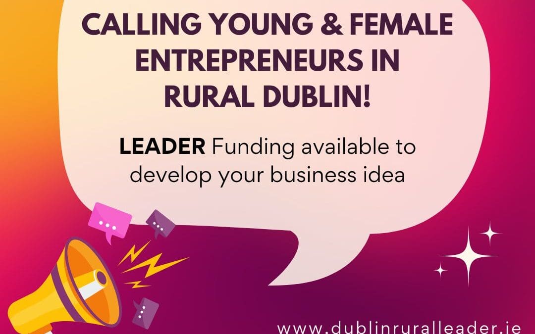 Call for Young and Female Entrepreneurs in Rural Dublin