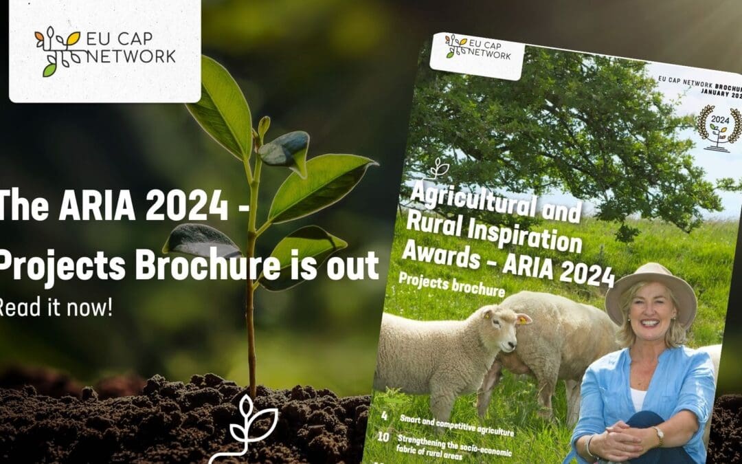 Agricultural and Rural Inspiration Awards 2024 Projects Brochure