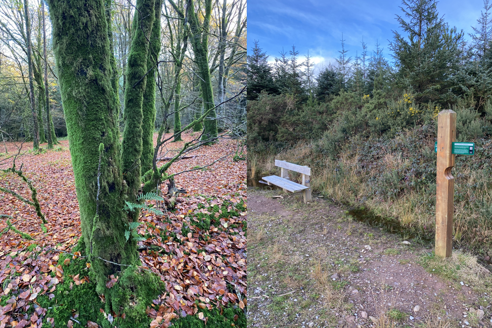 New NeighbourWood Scheme Launched