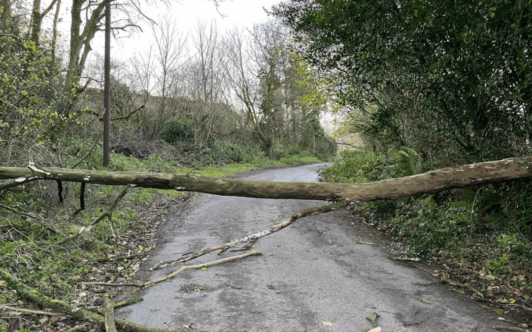 Emergency TAMS Tranche Announced for Storm Damage