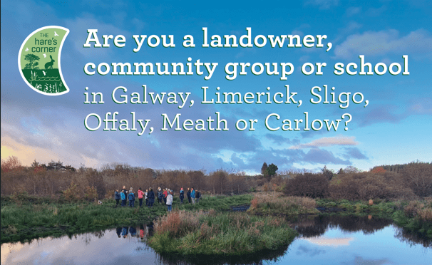 The Hare’s Corner is Back for 2025