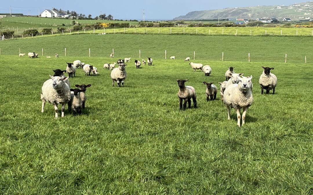 Important Dates for May and June 2025