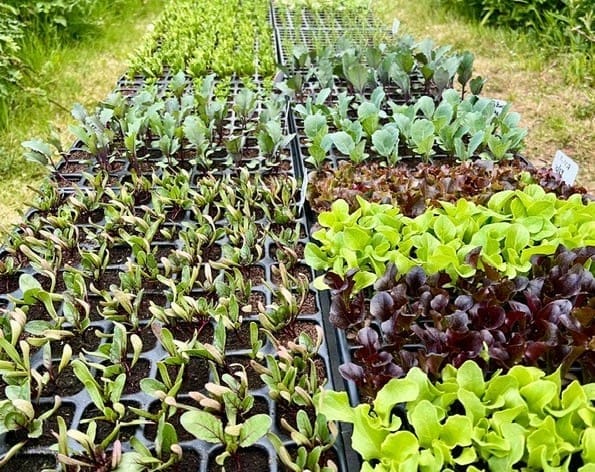 Agri-Food Tourism Projects Awarded €300,000 in Funding*