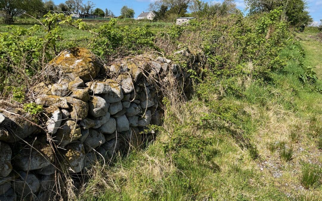 ACRES Balancing Payments and New Monitored Actions