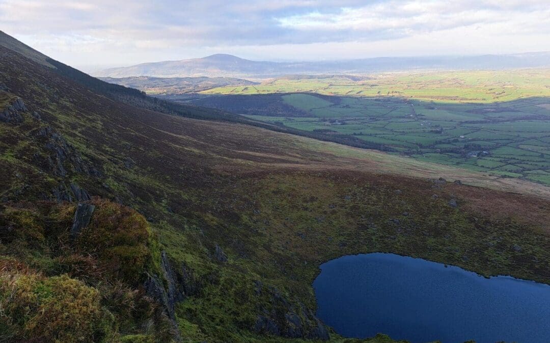 ACRES NPI Claims System Prepares to Open