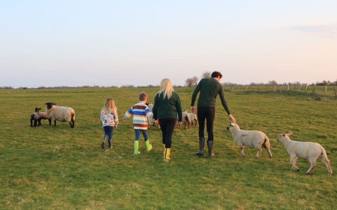 Policy Recommendations For Improved Farm Safety