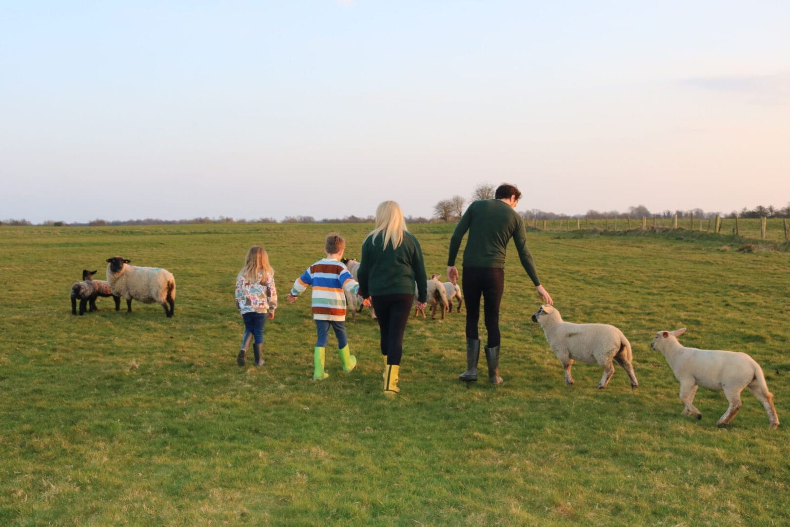 Improved Farm Safety