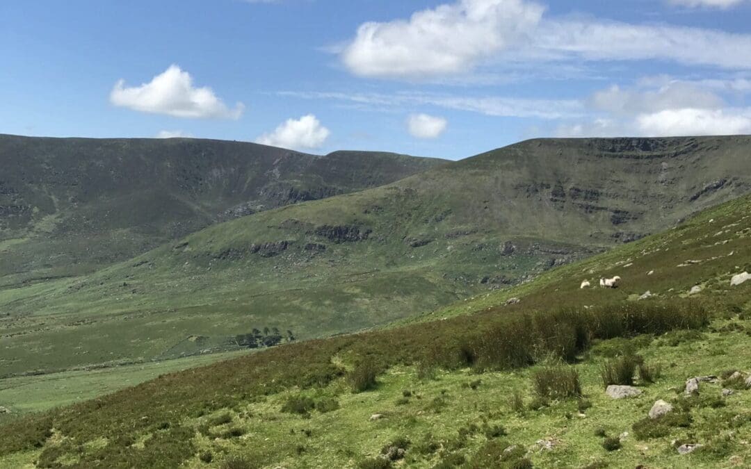 ACRES Landscape Actions Open to Applicants