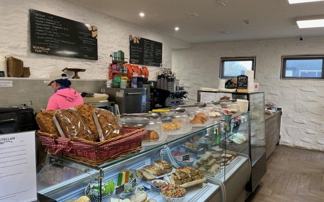 ACORNS 11 Now Open for Applications