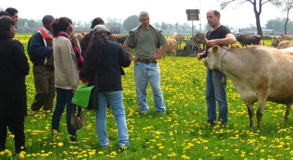 Dutch Farm Experience