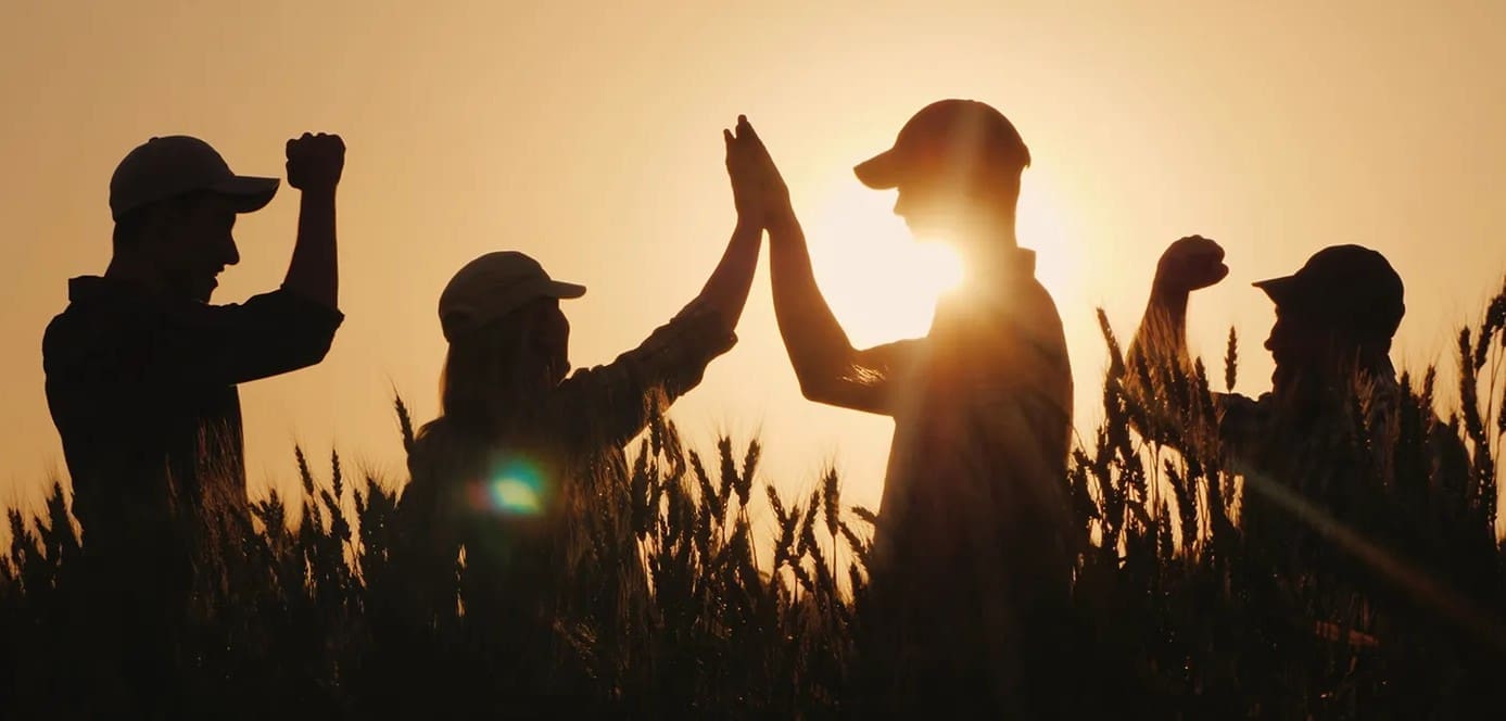 eu cap network visual identity tg potential cooperation 1