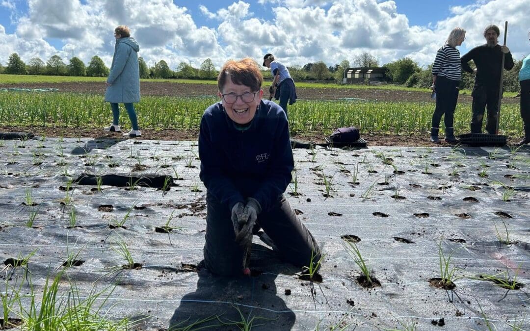 A Pioneering Approach to Mental Health Care