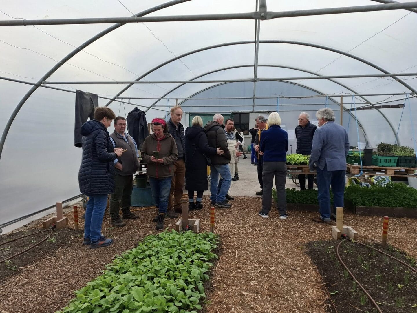 Kerry Social Farming Kerry Social Farming