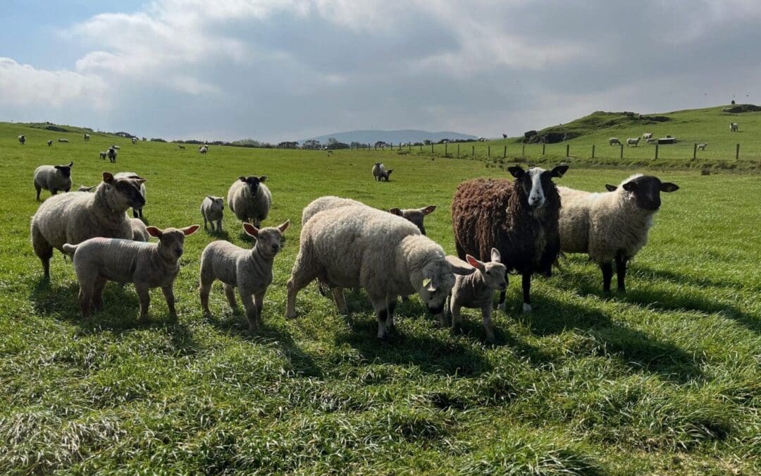 Important Dates for August and September 2025