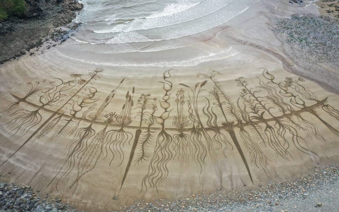 Bioregioning South East Ireland